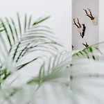 Au Numero 5