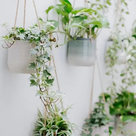 Au Numero 5 Holiday home