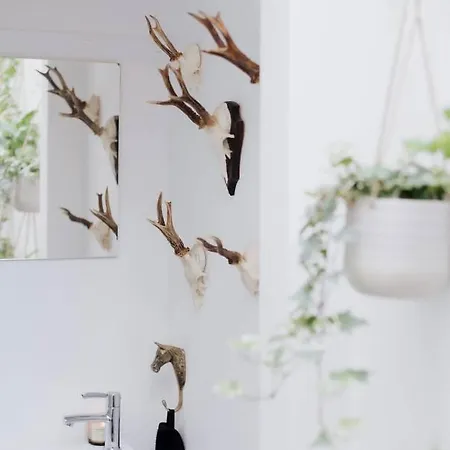 Tatil Evi Au Numero 5 *